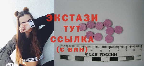 молекула духа Богородицк