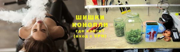 молекула духа Богородицк