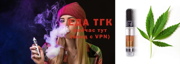 молекула духа Богородицк