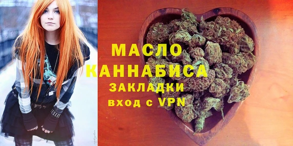 молекула духа Богородицк
