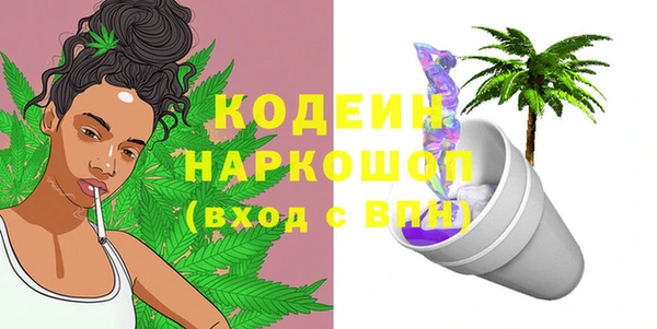 молекула духа Богородицк