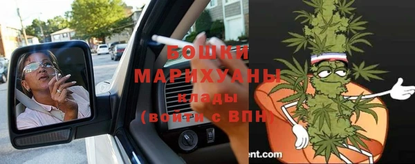 молекула духа Богородицк