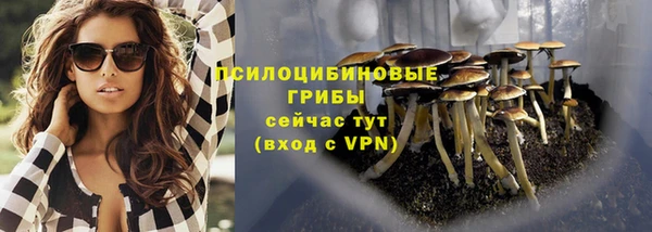 каннабис Богданович