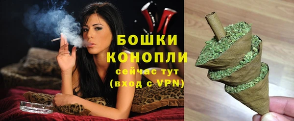 молекула духа Богородицк