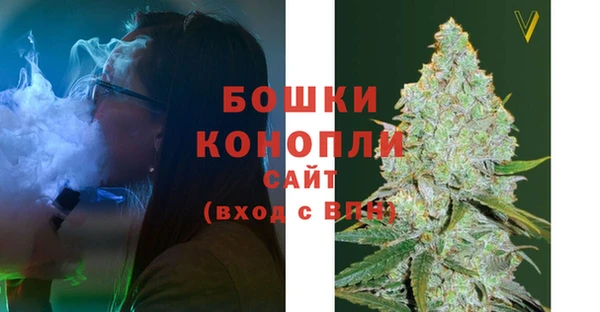 молекула духа Богородицк