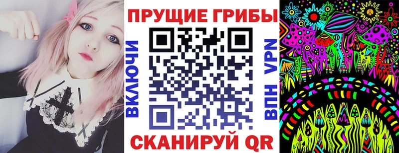 Псилоцибиновые грибы мухоморы  дарк нет официальный сайт  Пионерский 